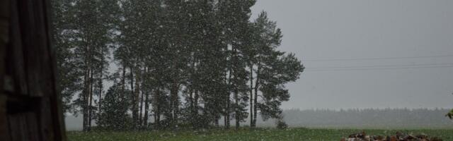 ПРОГНОЗ НА ВЫХОДНЫЕ | В субботу в Эстонии может выпасть снег