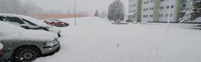 ФОТО И ВИДЕО | Смотрите, сколько навалило снега! В Эстонии весной и не пахнет!