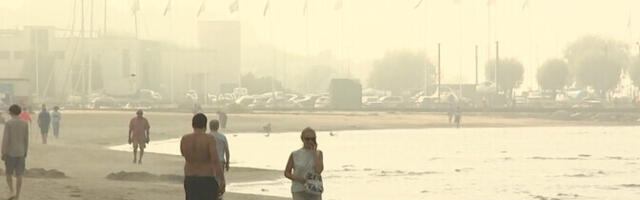 Теплая погода привлекла на пляжи десятки отдыхающих