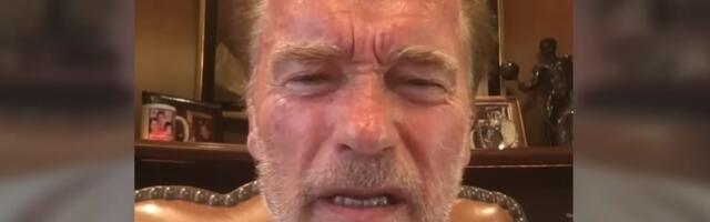 Правда ли, что после саммита на Аляске Арнольд Шварценеггер назвал Трампа тряпкой и мальчиком-фанатом Путина?