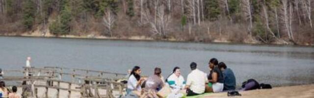 Компенсация за аренду жилья в Вильнюсе