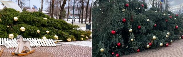 ФОТО | В Литве штормовой ветер повалил рождественские елки в нескольких городах 