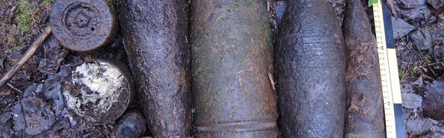Саперы обезвредили в Ида-Вирумаа взрывоопасные боеприпасы  военного времени