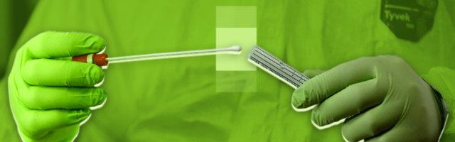 СРД: 968 позитивных тестов на COVID-19