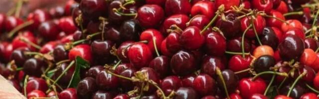 В Польше проверили продукты в дисконтных магазинах и на рынках — нарушения в большинстве случаев