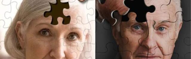 Найден минерал, способный защитить мозг от болезни Альцгеймера