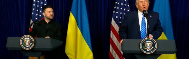 Встреча Зеленского с Трампом и звонок Трампа Путину — о чём договорились лидеры