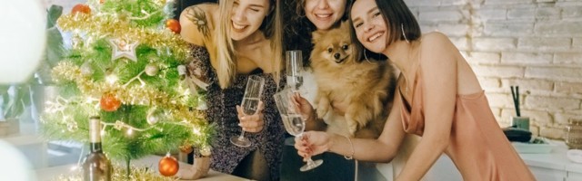 7 идей, как провести Рождество в Таллинне: от ужинов в ресторанах до больших праздников с Дедом Морозом