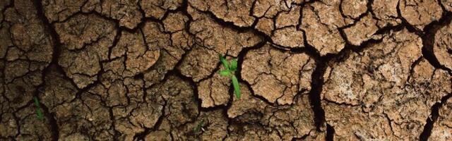 ООН: мир вступил в эпоху "глобального водного банкротства"