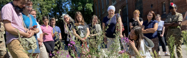 В духе времени: на Кренгольме появился общественный огород  +ГАЛЕРЕЯ