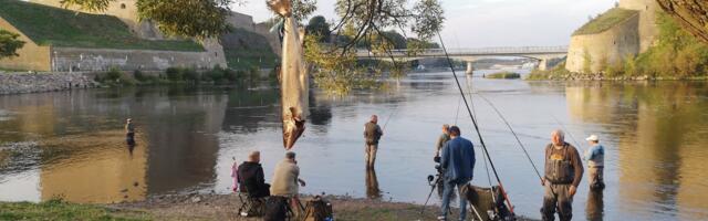 На соревнованиях рыболовов «Нарвский лосось» в этом году поймали всего одну рыбу