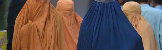 Талибы запретили женщинам моложе 40 лет посещать рынок на территории Узбекистана