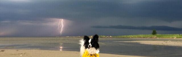 В Иванов день пройдут дожди и грозы