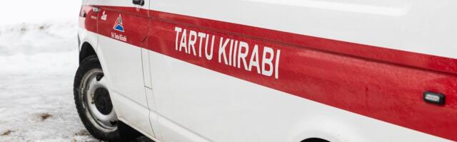 Дорожная сводка: водитель врезался в дерево и сбежал, оставив пассажиров ждать скорую помощь