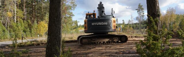 Строители спешат проделать просеки для дороги у Саатсеского сапога до сезона гнездования птиц