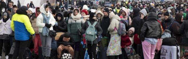 МВД: Если человек не нуждается в предоставлении убежища, его сразу отправят обратно