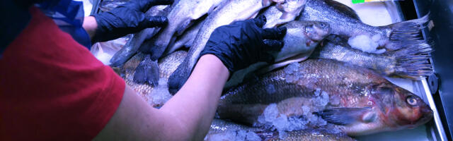 Рыбы стало меньше, но рыбные места  еще имеются