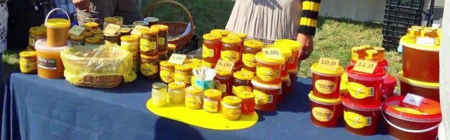 «Почему летняя? А потому что летом!»