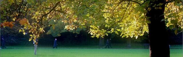 В среду переменная облачность, возможен кратковременный дождь, +19...+24