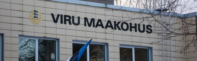 Вируский суд приговорил мужчину к 12 годам тюрьмы за изнасилование двух несовершеннолетних