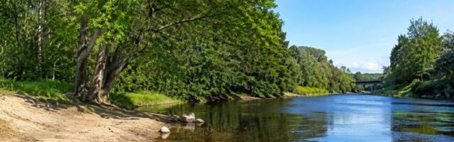 Гид по реке Пирита: 8 мест для летнего отдыха в Таллинне и одно — сразу за его границей