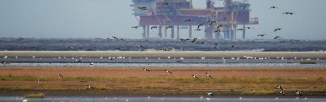 Нефть подорожала до 43 долларов за баррель после решения ОПЕК+ продолжить сокращение добычи