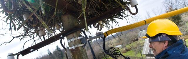 В Эстонии не хватает электриков: «Нам очень нужны молодые специалисты»