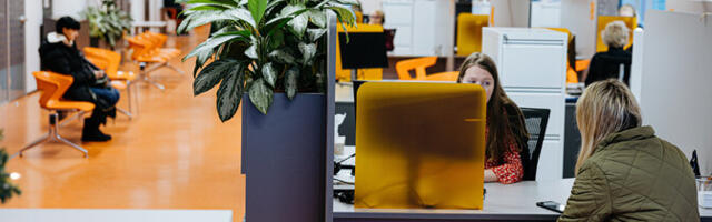 Доля молодежи и женщин среди безработных увеличилась