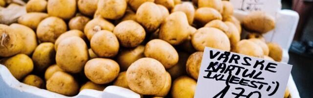 Младший научный сотрудник: предлагая в школах органическую еду, стоит избегать крайностей