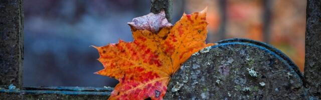 Расходы Эстонии на охрану окружающей среды достигли 821 млн евро