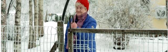 Impulss: как упавшая из кормушки семечка конопли обернулась для пожилой пары условным сроком