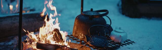 Ночной ужин при полной луне: в Эстонии откроются десятки временных ресторанов под открытым небом