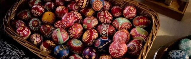 Немецкие зоозащитники потребовали от христиан не освящать яйца на Пасху