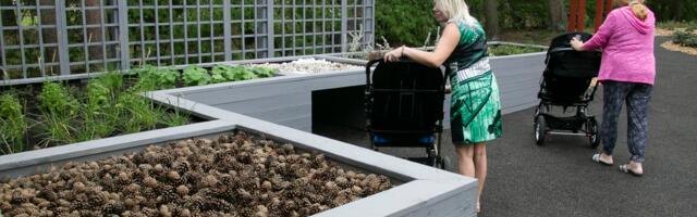 СОЦИУМ ⟩ В Таллинне открылся уникальный терапевтический сад для детей с особыми потребностями