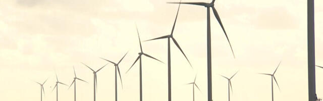 Связанный с ветряками спор в волости Винни может привести к новому судебному процессу