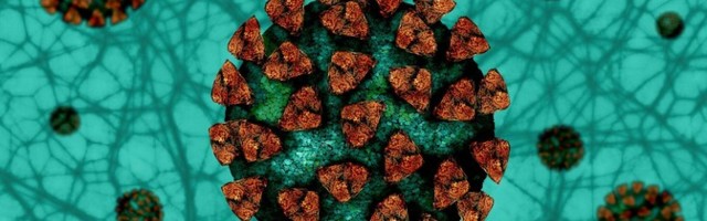ОАЭ первыми из стран могут достичь коллективного иммунитета от коронавируса