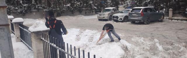 ВИДЕО И ФОТО | Фирмы скидывали снег на очищенную автобусную остановку. Представители: пешеходам мы никак не мешали