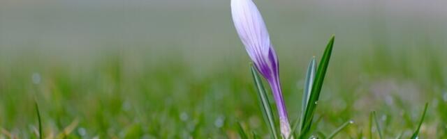 В четверг переменная облачность, +6..+11