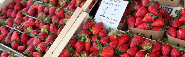ФОТО | Клубника в Таллинне стартует от 3.90 евро, малина — от 35!