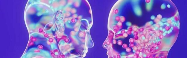 Предложение от чата GPT