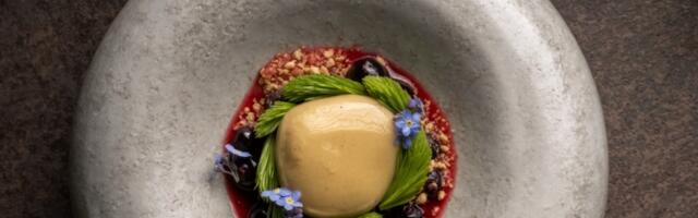 Что за O2 на Maakri: новый ресторан от шефа, который кормил нас в Ö и Kaks Kokka