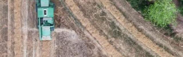 Во Франции приняли закон, разрешающий использовать ранее запрещенный инсектицид