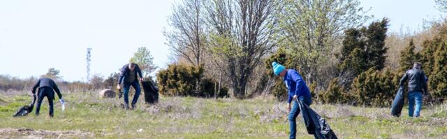 В Дне полезных приняли участие более 33 000 человек