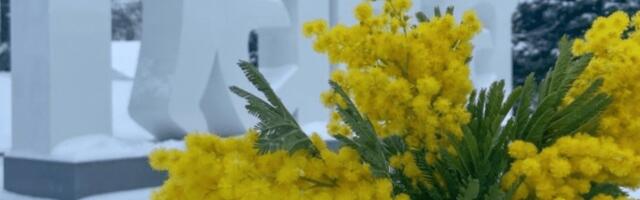 Куда пойти в Нарве и Нарва-Йыэсуу 8 и 9 марта: футбол, хоккей, концерты, выставки и виртуальная экскурсия