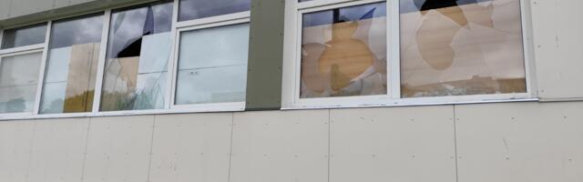 В Нарве бушуют вандалы и охотники за городскими цветами, выкапывающие их из вазонов