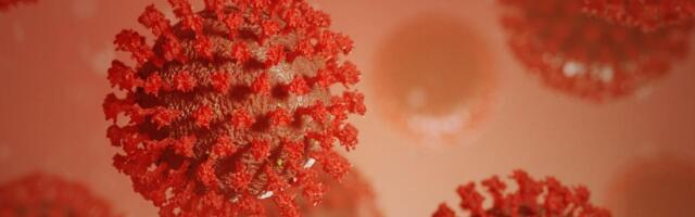 В США выявили первый случай заражения штаммом "омикрон"