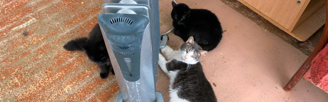 Цены на тепло: осторожно, не обожгитесь!