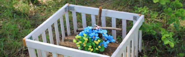 Крематорий и колумбарий. Карпиков: официальное кладбище домашних животных в Нарве может появиться в 2025 году