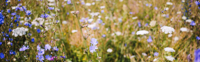 В четверг облачно с прояснениями, +11..+16 °C