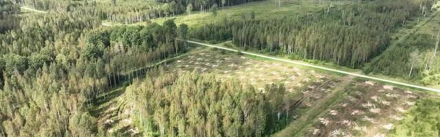 Министерство планирует выделить еще одну территорию в Ида-Вирумаа под строительство заводов ВПК